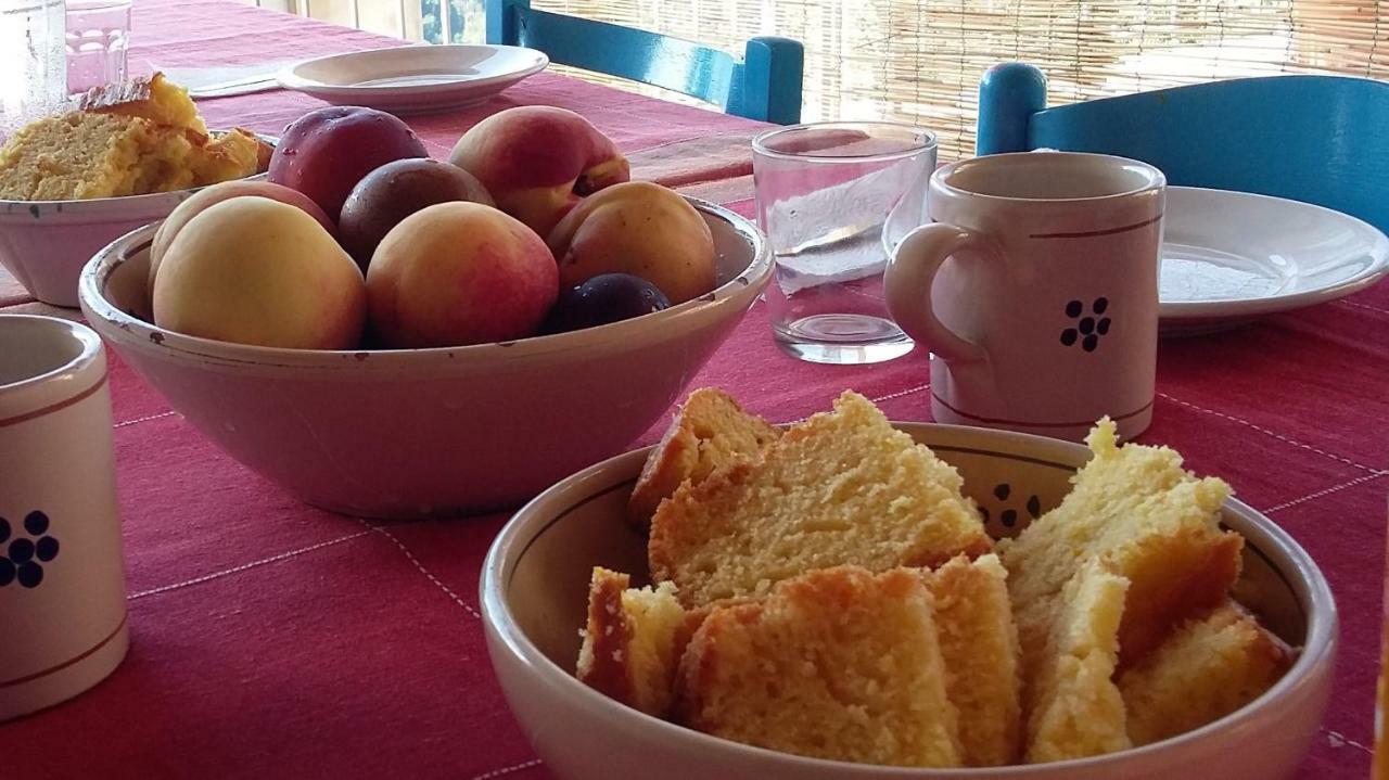 B&B Calabria Scigliano 외부 사진